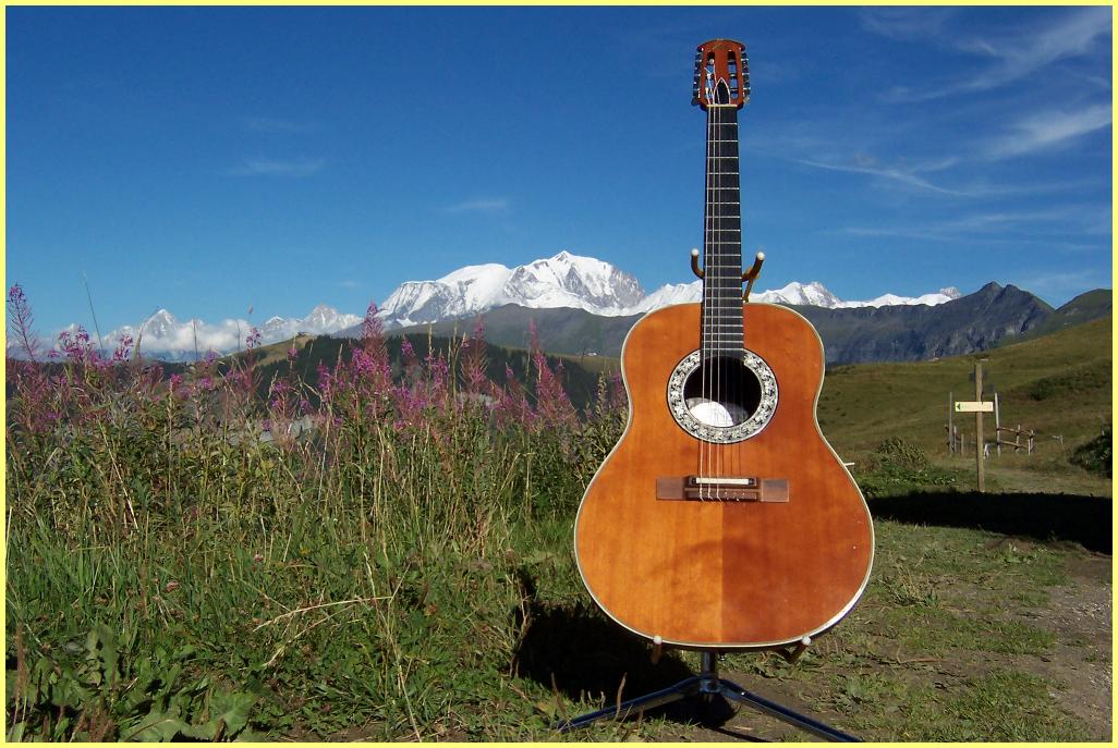 Ovation 1624-4 Country Artist